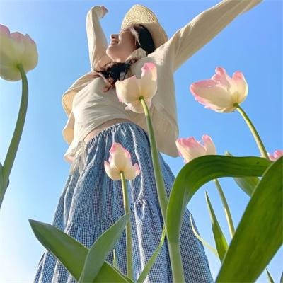 歌舞仙姬 海报